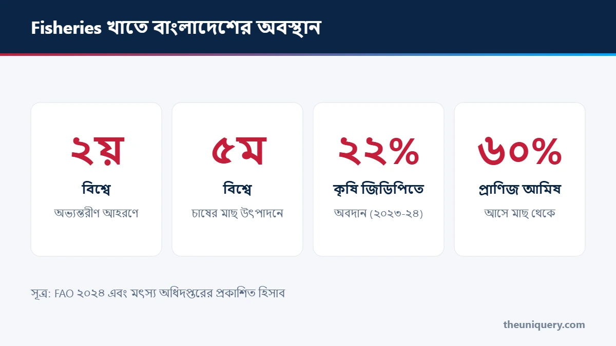 Fisheries খাতে বাংলাদেশের অবস্থান: অভ্যন্তরীণ আহরণে বিশ্বে ২য়, চাষের মাছে ৫ম, কৃষি জিডিপিতে ২২.২৬% অবদান