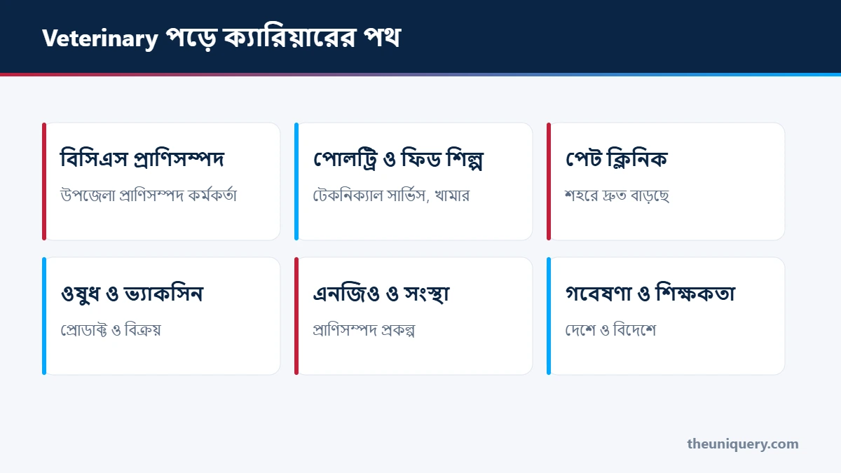 Veterinary বা DVM পড়ে ক্যারিয়ারের পথ: বিসিএস প্রাণিসম্পদ, পোলট্রি ও ফিড কোম্পানি, পেট ক্লিনিক, ওষুধ কোম্পানি আর গবেষণা